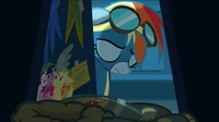 Newbie Dash