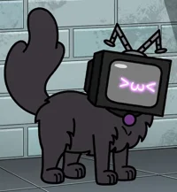TV Cat