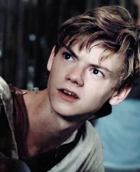 Newt