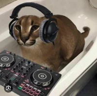 DJ floppa