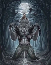 Alpha