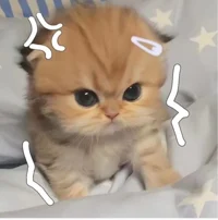 Esra