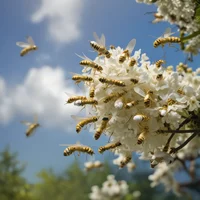 Wasp nest