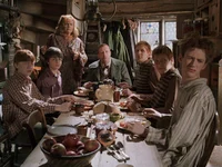 The Weasley Family