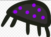 BFDI-bug infection
