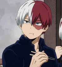 Shoto Todoroki 