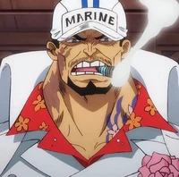 Sakazuki akainu