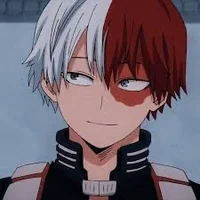 Shoto Todoroki 