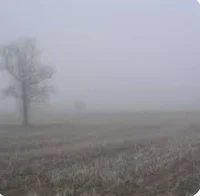 Reckoning The Undead