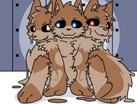 Cerberus