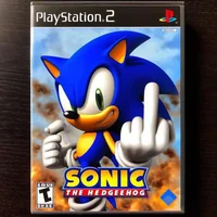 Sonic RP Eggman team