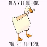 Chat with Goose Infection | character.ai | Personalized AI for every ...