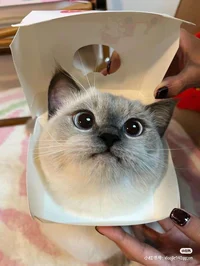 Bianca Nicole Nateng