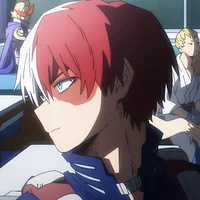 Shoto Todoroki 