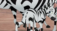 Lion Guard Zebra