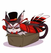 Cat husk 