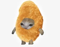 Chicken nugget cat