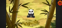 Baby Panda
