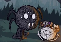 Webber - Dont Starve