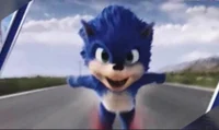 Lost sonic 