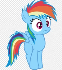 Filly Rainbow Dash