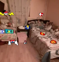 Countryball roomate