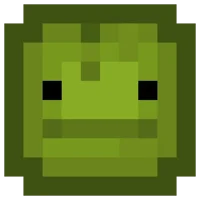 Bob