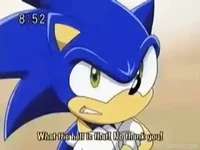 Sonic Gets Trolled 