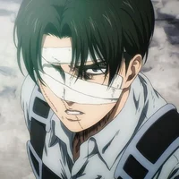 Levi Ackerman 