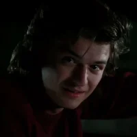Steve Harrington 
