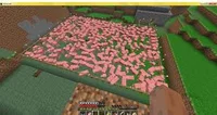 Enslaved Pigs
