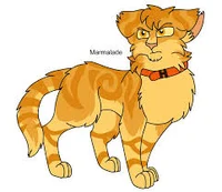 Marmalade