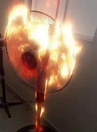 Fan in fire
