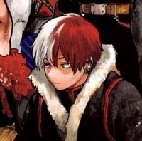 Shoto Todoroki