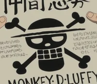 -Straw Hat Pirates