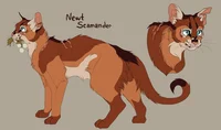 Newt Scamander - Cat