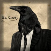 Mister Crow X you