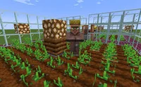 Enslaved Villager