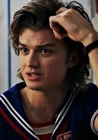 Steve Harrington 