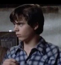 Ponyboy Curtis