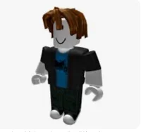 Roblox Bacon Hair