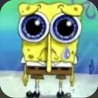 Sponge bob
