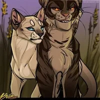 Саша и Звездоцап 