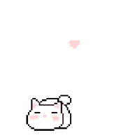 Your Cat
