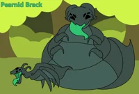 Female Pearnid Brack