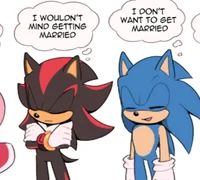 Sonic and Shadow