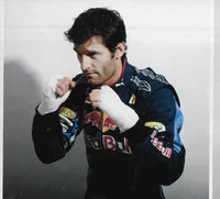 Mark Webber