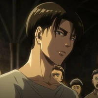 Levi Ackerman 