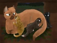 Саша и Коршун и Моты