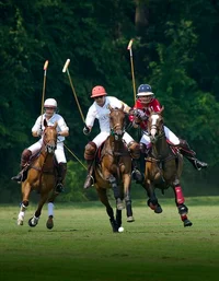 Polo match 